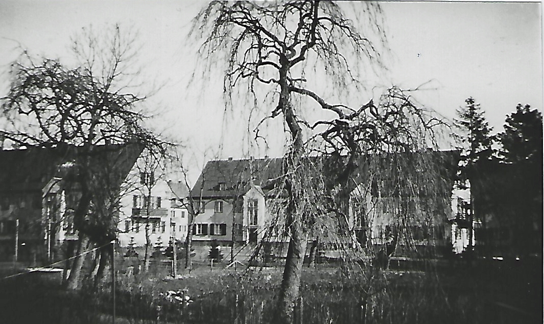 Blick über den Dorfteich, Archiv Horst Dörn