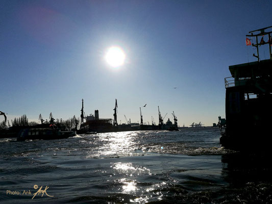 _sail in summer_ Hamburger Hafen_ Foto: (c)Ank 06/2018