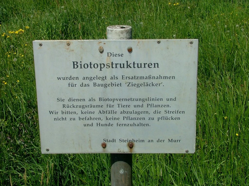 Öben angekommen beginnen die Biotopelemente, die die Stadt Steinheim als Ausgleichsmaßnahme angelegt hat.