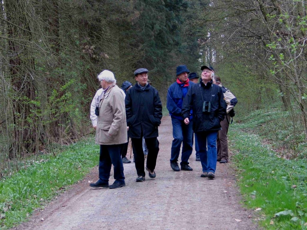 Vogelkundliche Führung 2010 - Im Oberen Wald Bietigheim