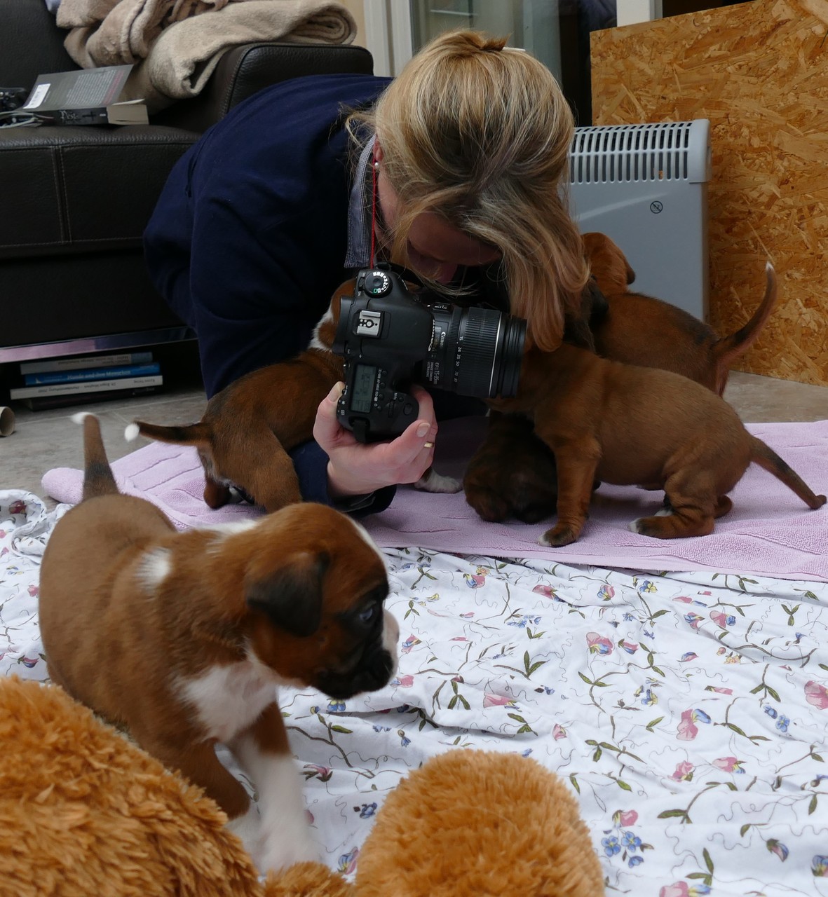 Fotografieren - gar nicht so leicht ...