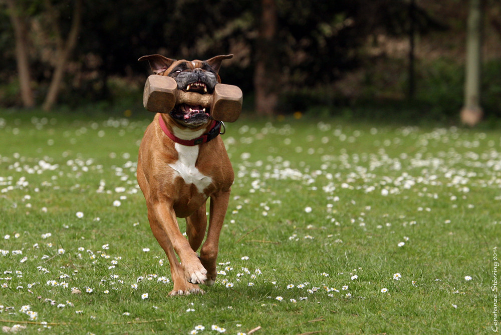 Brisby-fast 12 und immer noch "voll Spaß" dabei!