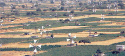 Plateau of Lasithi 