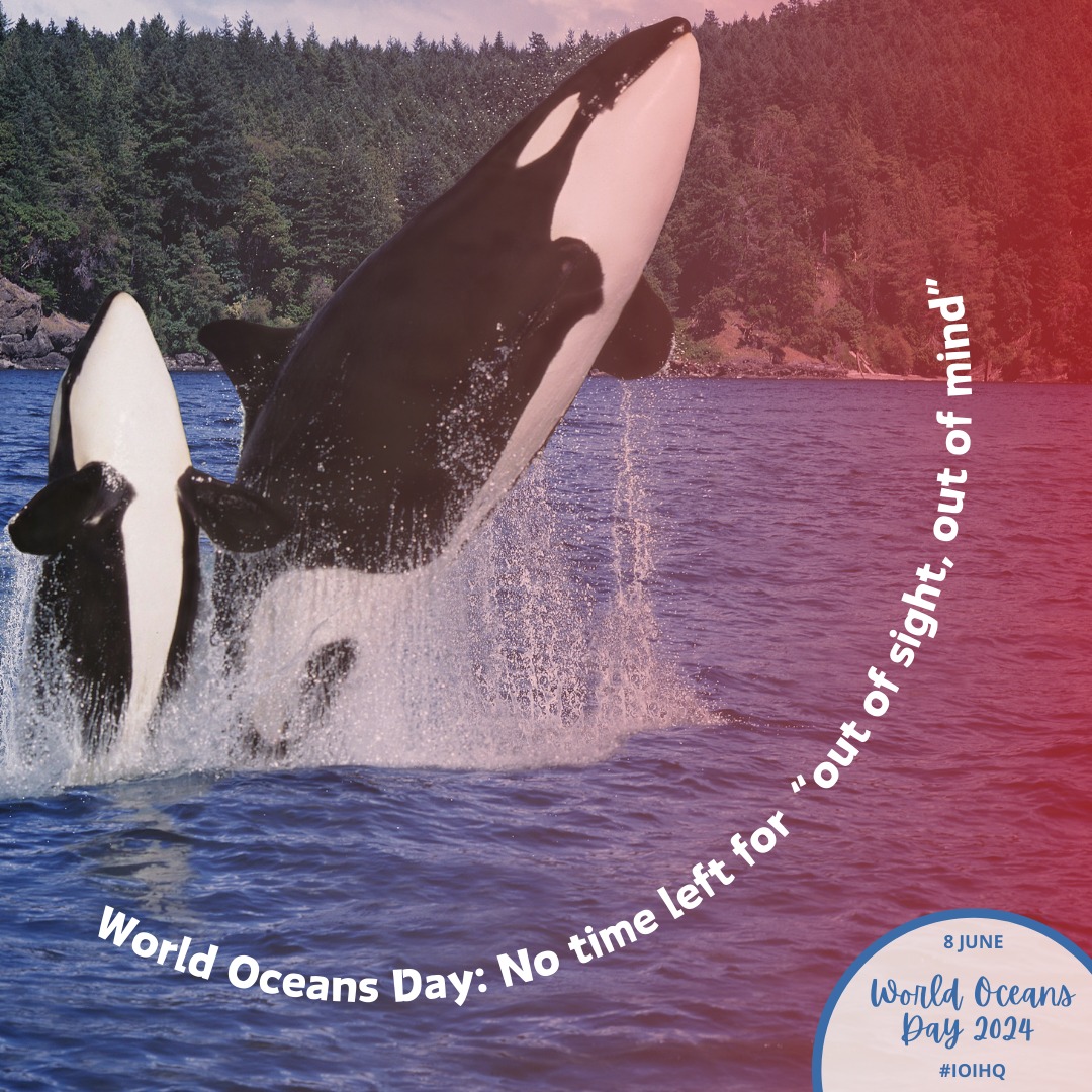 World Oceans Day 8 June 2024: “Awaken New Depths”; IOI Network events held globally