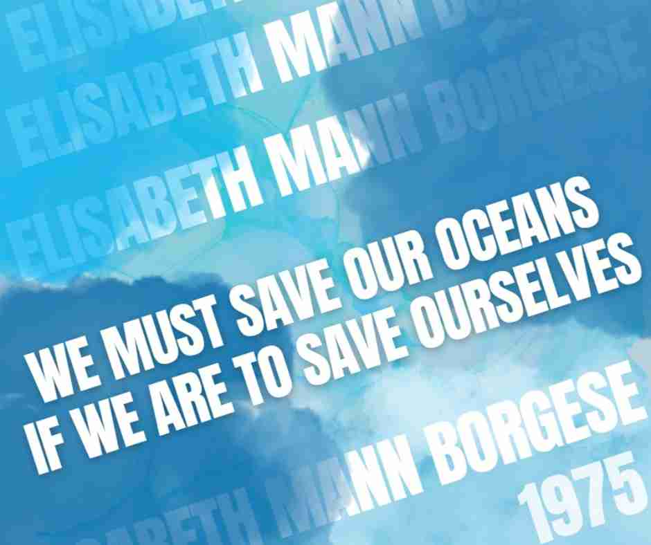 Survival at stake: Negotiations resume on an international legally binding instrument under UNCLOS