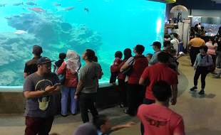 IOI MALAYSIA (FP): Visitors at the Aquarium of Borneo Marine Research Institute (BMRI)