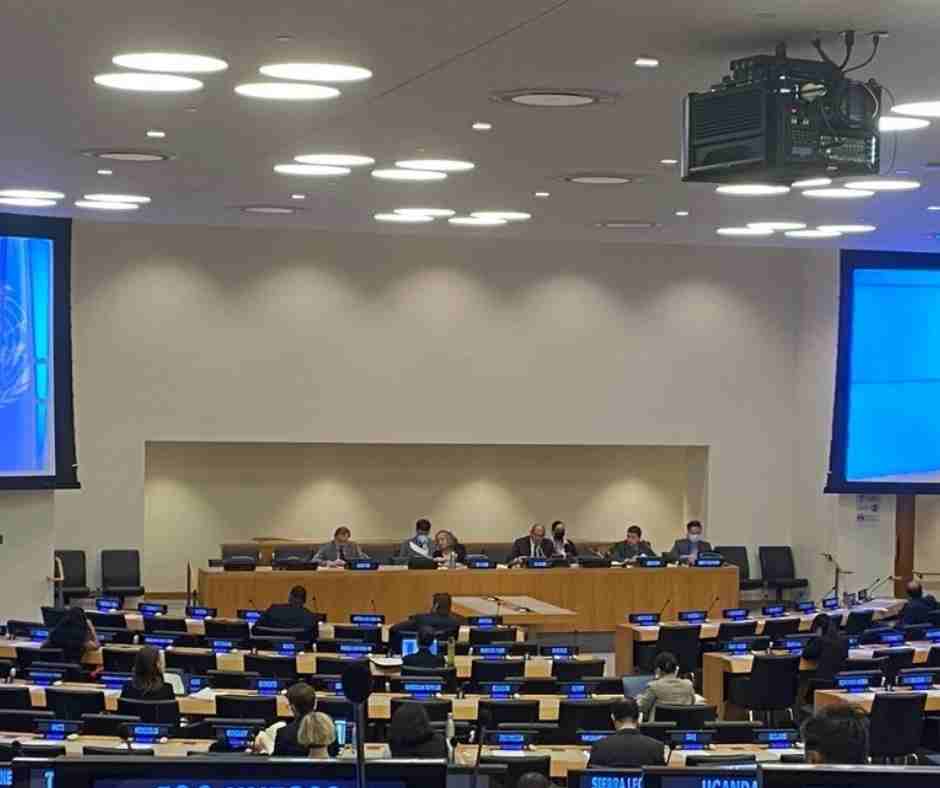 IOI is represented at the Twenty-second meeting of the UN ICP on Oceans and the Law of the Sea: "Ocean observing", 6 - 10 June 2022