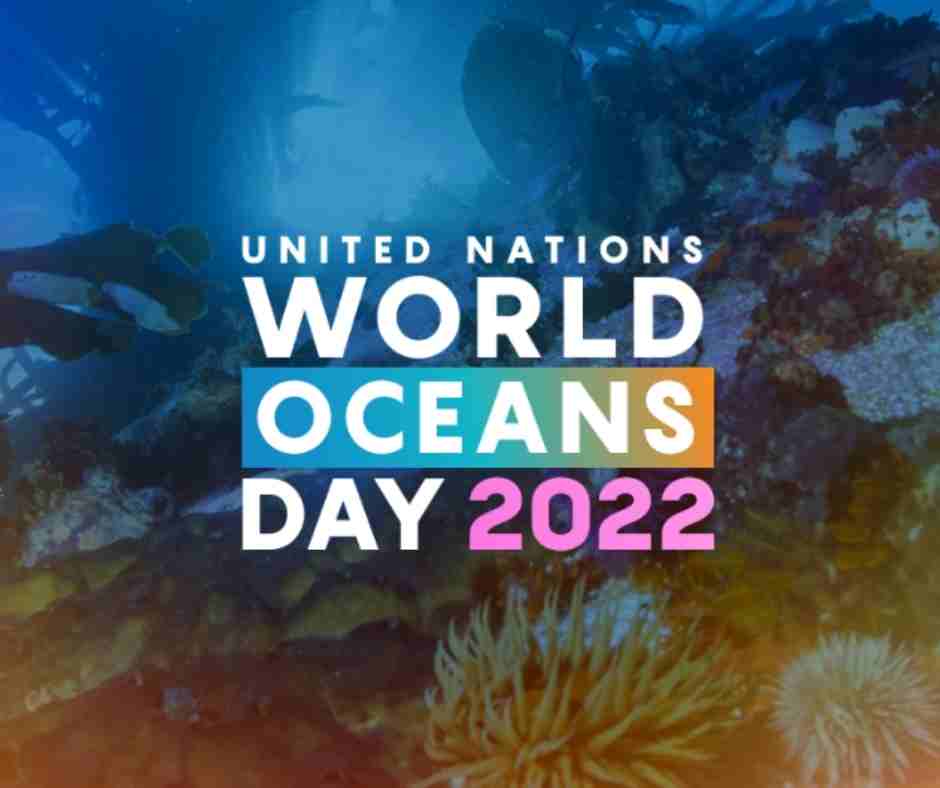 IOI NETWORK EVENTS FOR WORLD OCEANS DAY, 8th June 2022; REVITALIZATION: Collective Action for the Ocean