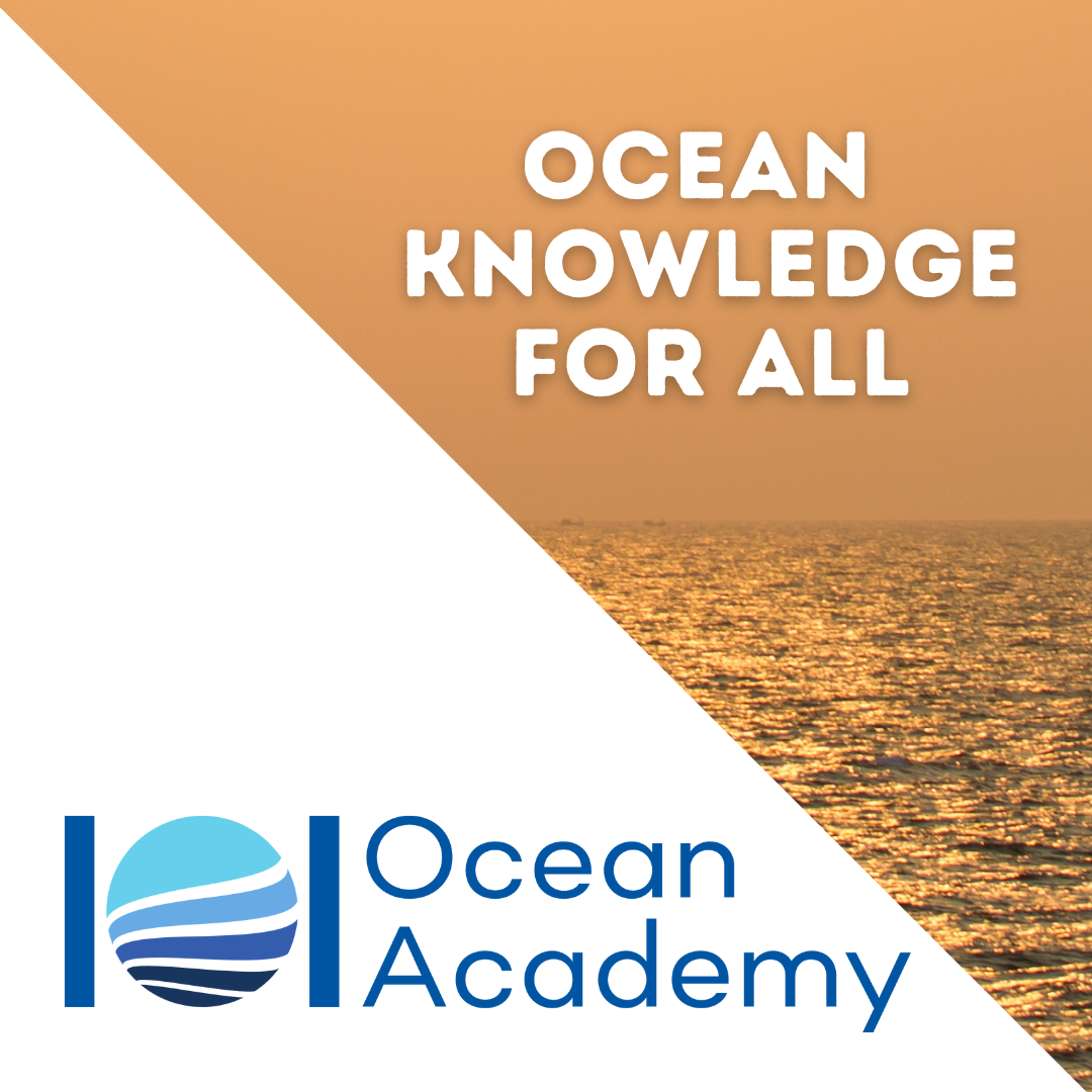 IOI Ocean Academy: 6 New Nodes recently joined the IOI Ocean Academy; another 4 courses successfully delivered; 3 modules open for registrations
