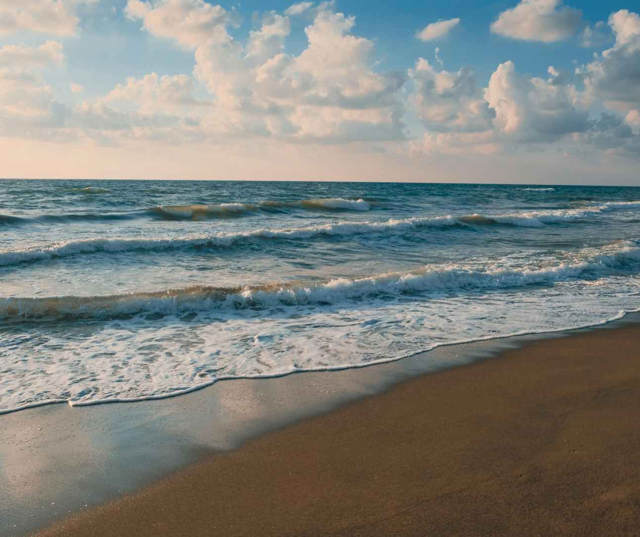 News from the IOI Ocean Academy Network