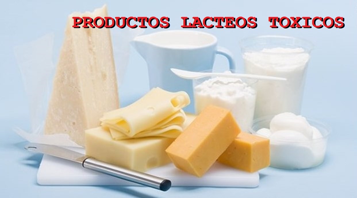 Piramide alimenticia productos lacteos Piramide alimenticia productos lacteos