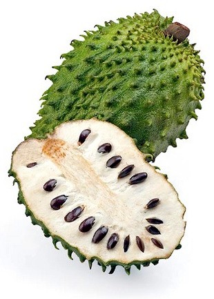 Guanabana nombre cientifico y uso medicinal