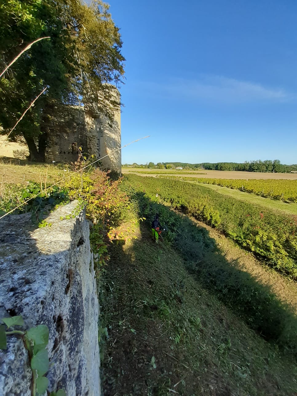 Fauchage, débroussaillage, château de Budos