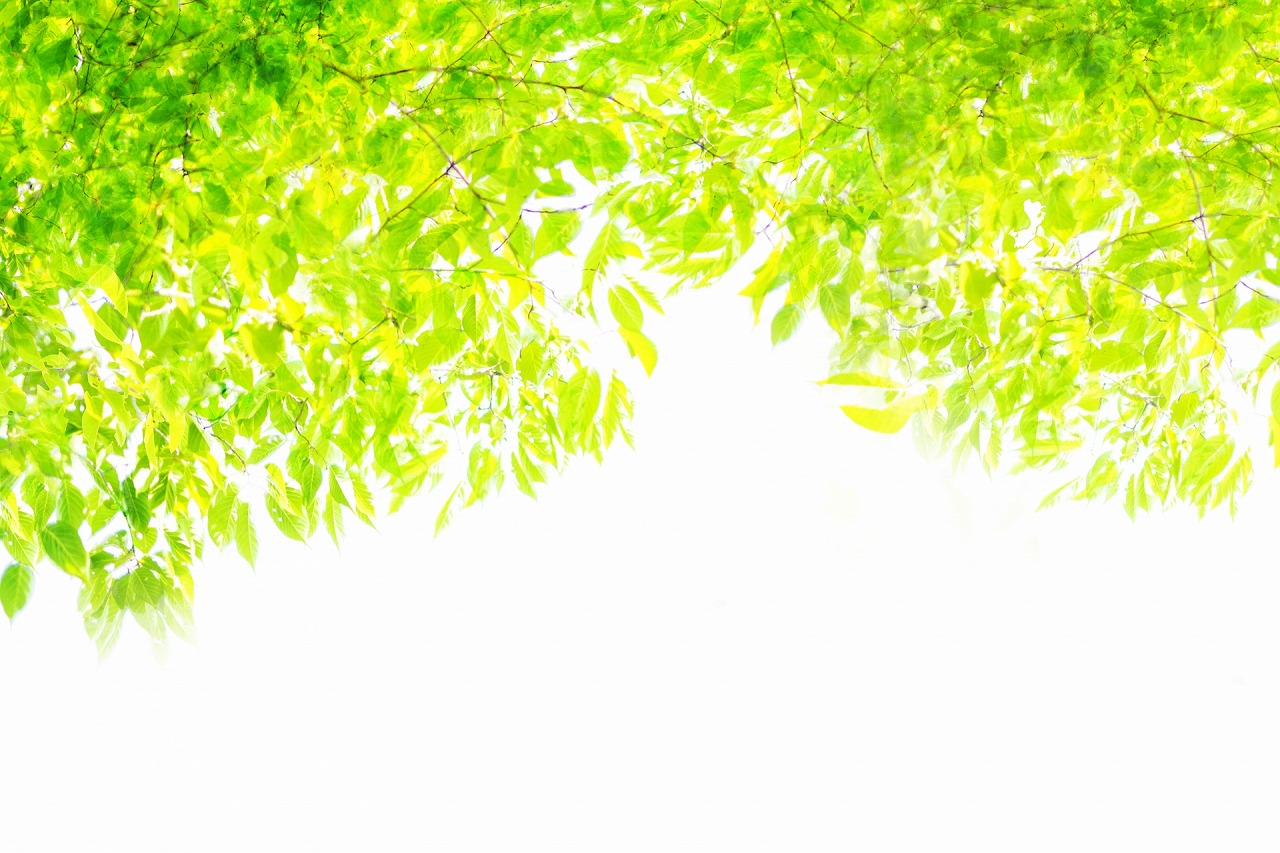 医療法人あおば会