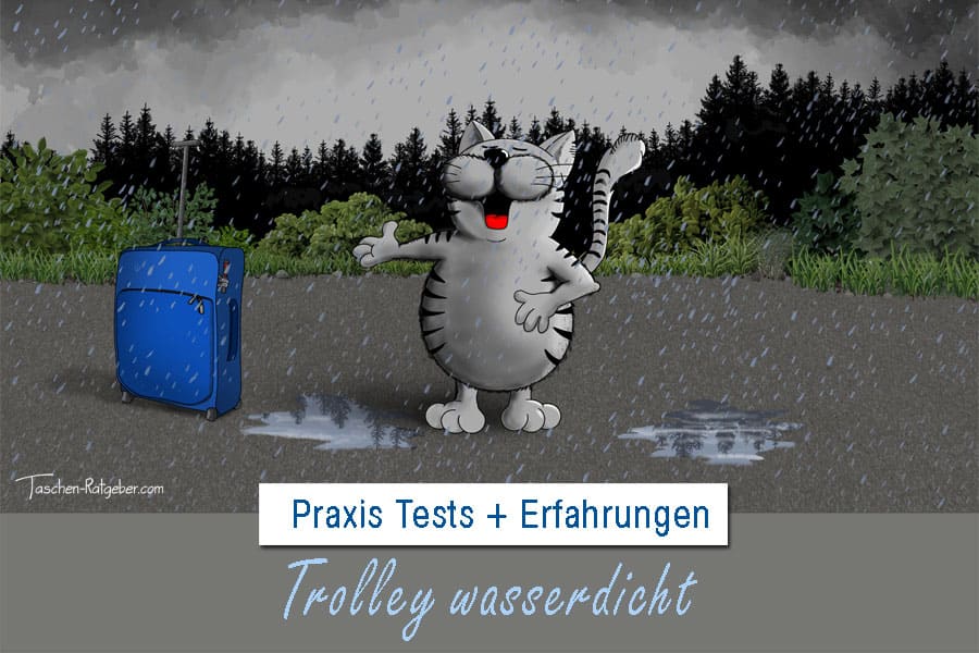 Koffer wasserdicht: Trolley-Modelle, Test, Erfahrungen