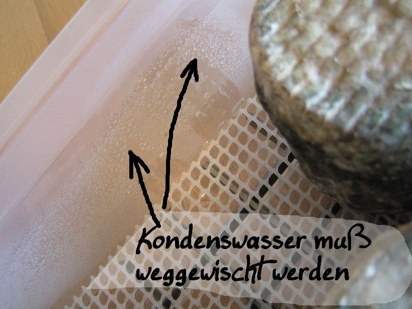 Käse selber machen