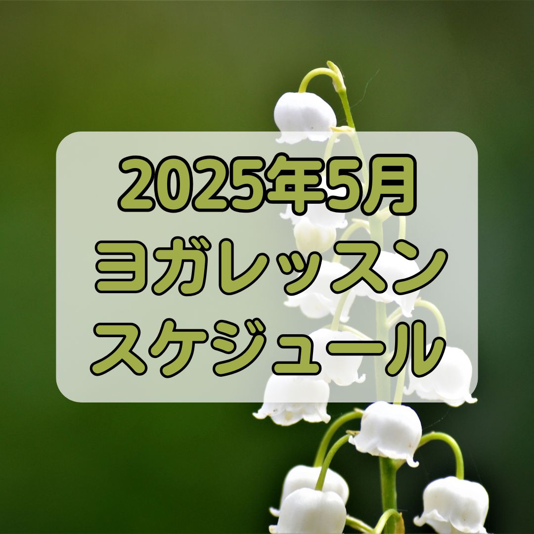 2025年5月クラススケジュール