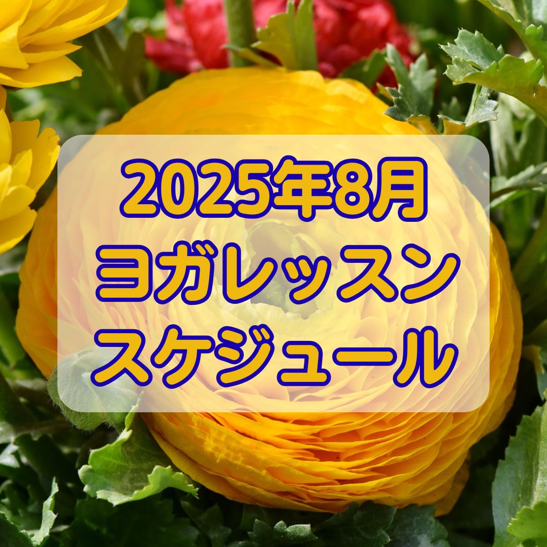 2025年8月クラススケジュール