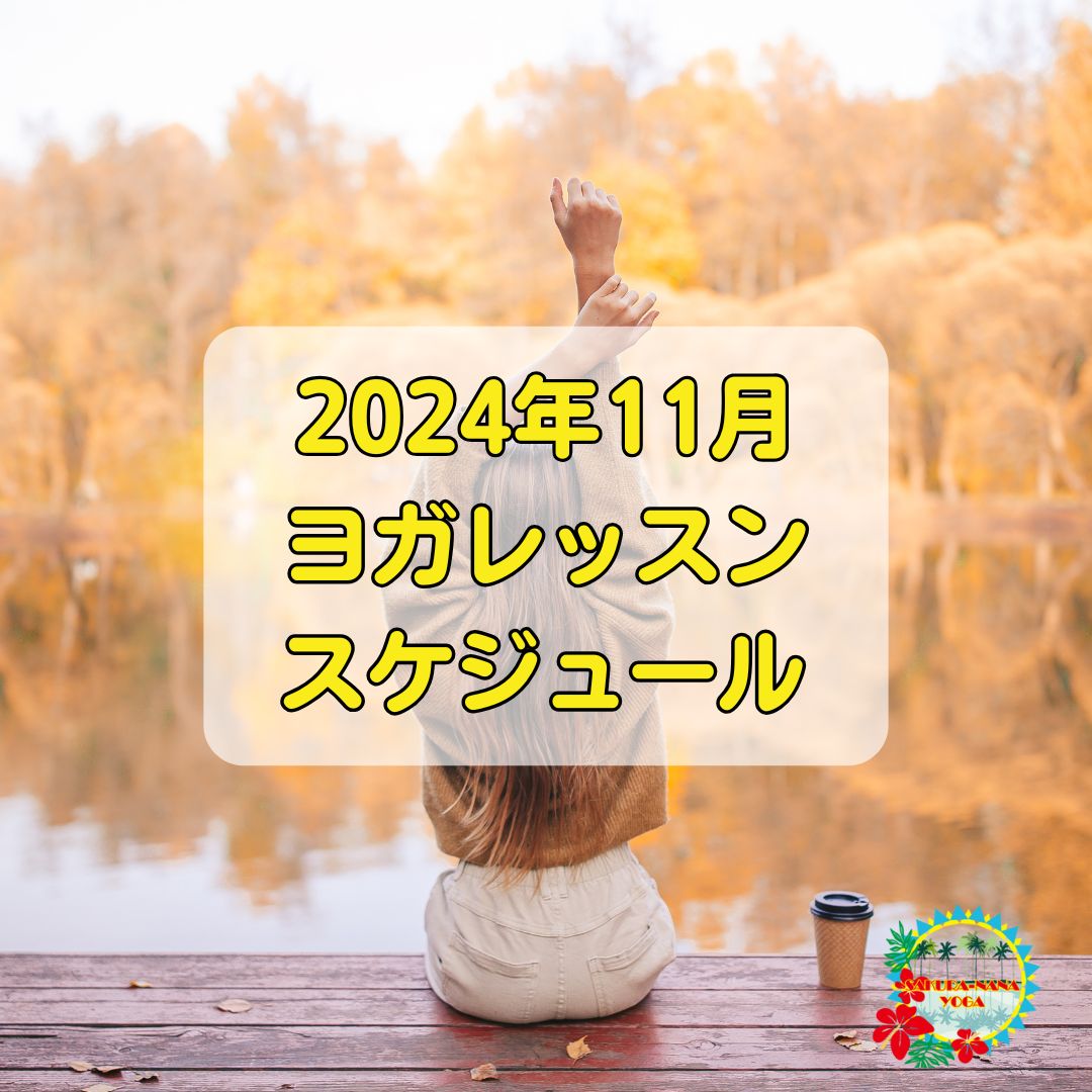 2024年11月クラススケジュール