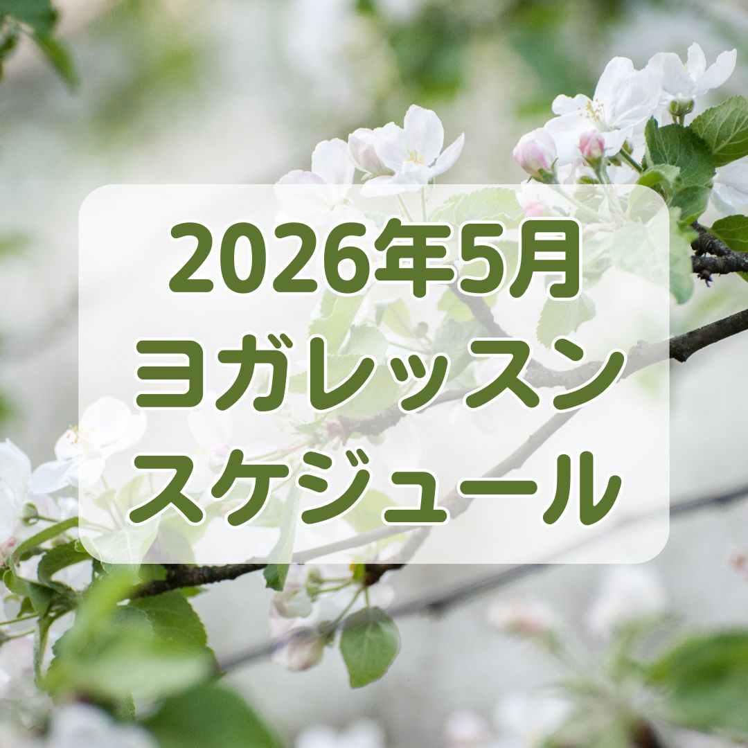 2026年5月クラススケジュール