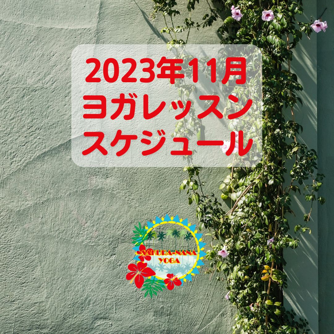 2023年11月クラススケジュール