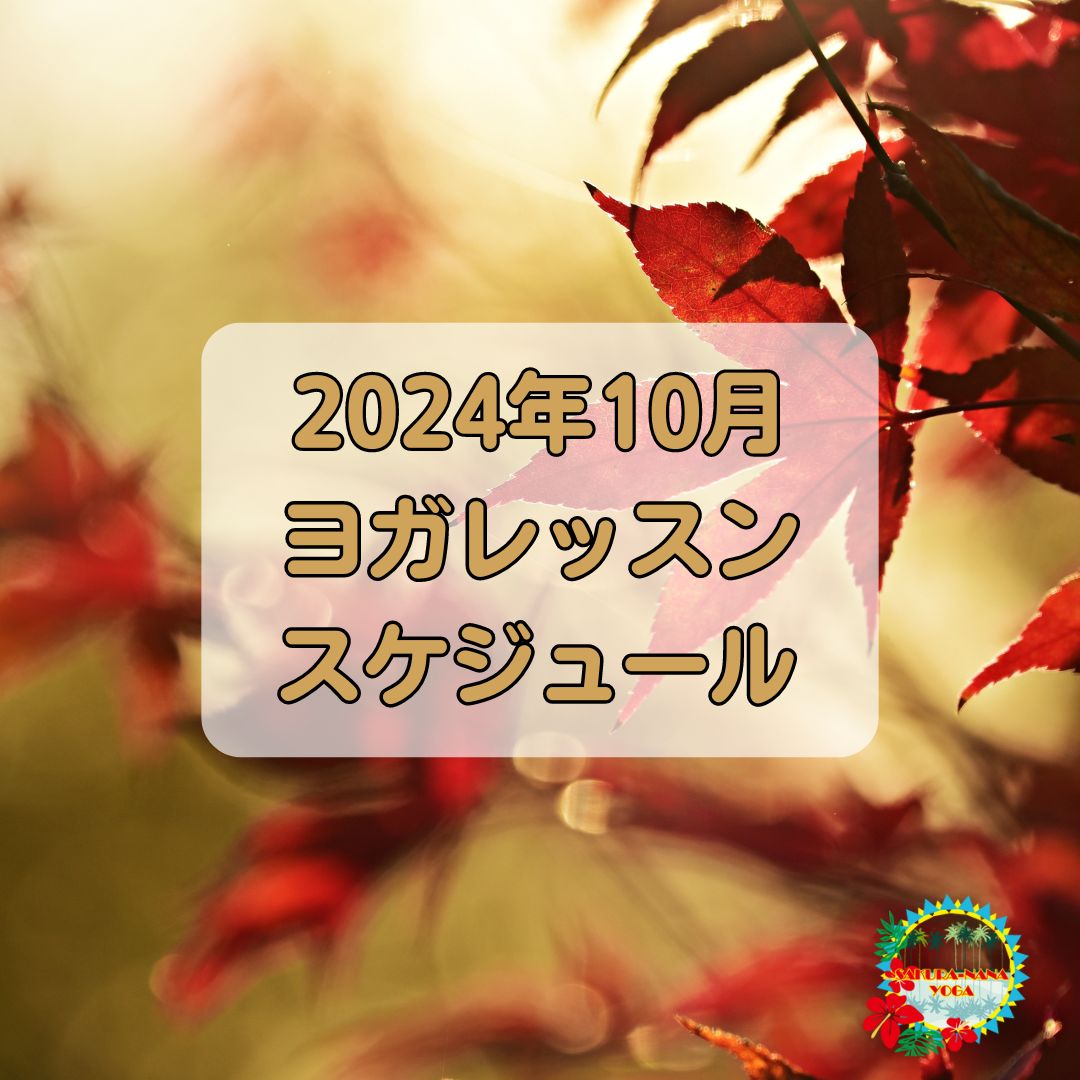2024年10月クラススケジュール