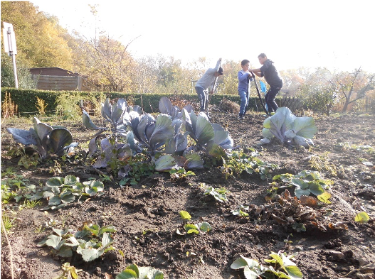 Unser Schulgarten - Bei der Arbeit ...