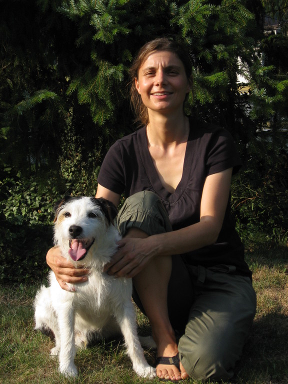 Dissertation tierarzt 07 image