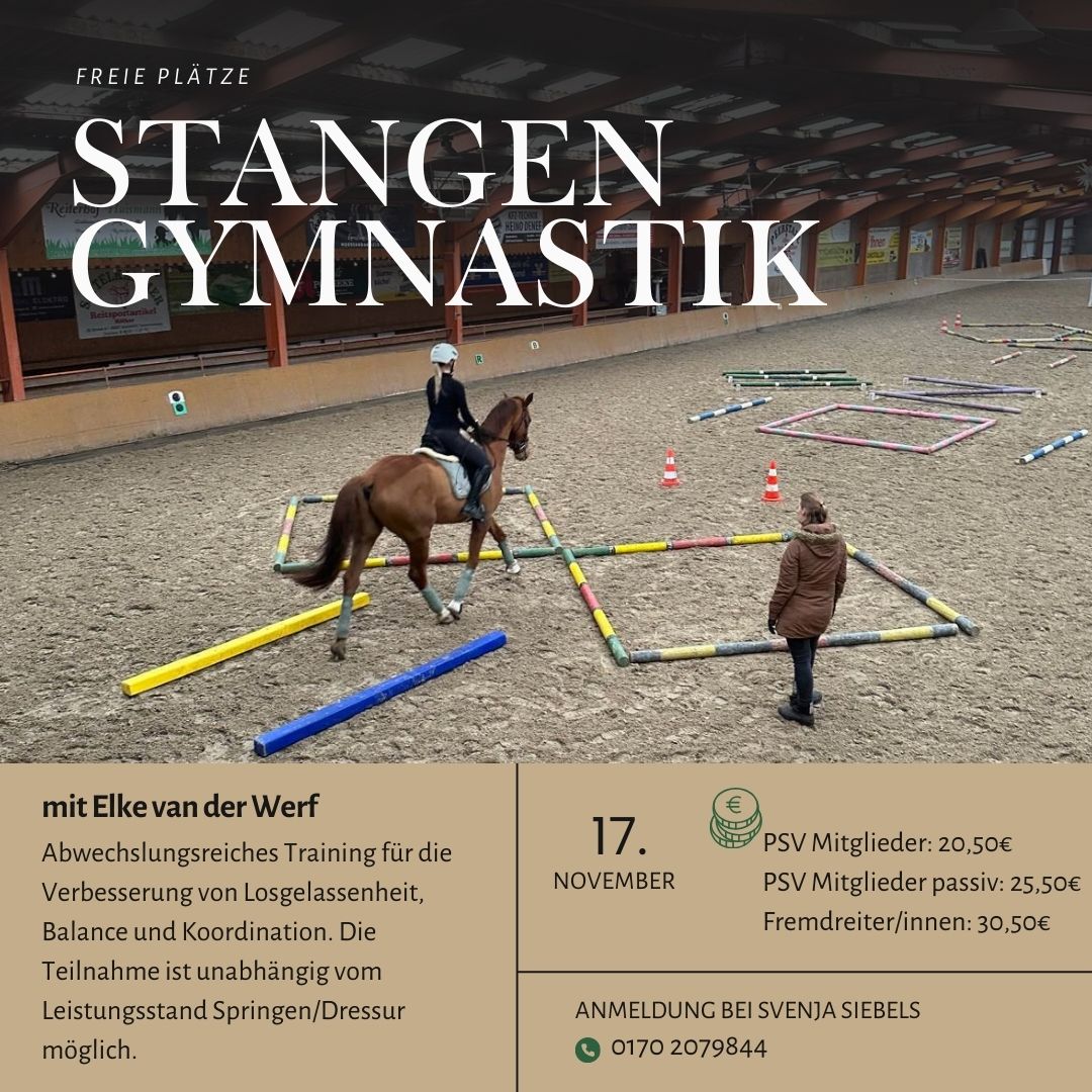Stangengymnastik mit Elke van der Werf