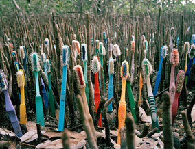 brosse à dents bambou