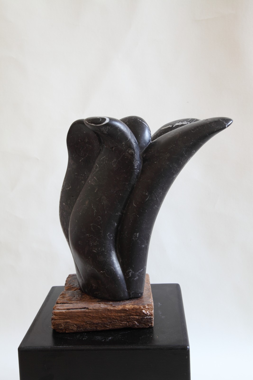 Ohne Titel. Marmor Nero Marquinia. 2013