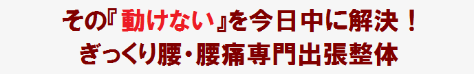 八王子でぎっくり腰の出張整体なら、24年の臨床経験と５万人施術以上の実績の施術家がご自宅へ伺って、ぎっくり腰の根本改善を受けられる当院へ