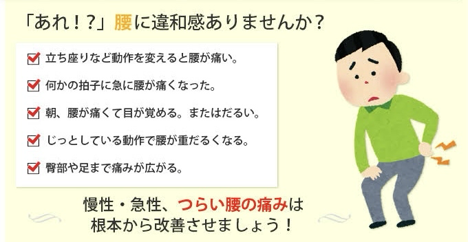 麹町で腰痛を改善するなら、腰痛専門整体院のフィジカルスタジオ246へ。脳幹から足首まで、全身の歪みを整えて根本改善
