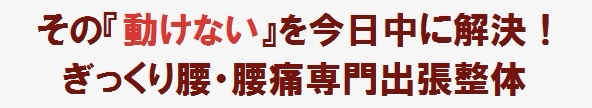 突然の動けないぎっくり腰。そんな時には八王子市内全域を出張エリアにしている、腰痛・ぎっくり腰専門整体院の当院の訪問整体へご相談ください。