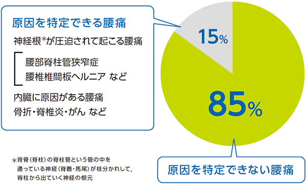 麹町腰痛専門整体院の当院は、病院などで原因が特定されない腰痛の改善を得意としております