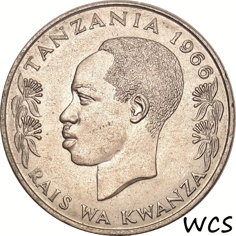 new Coins 07.2025