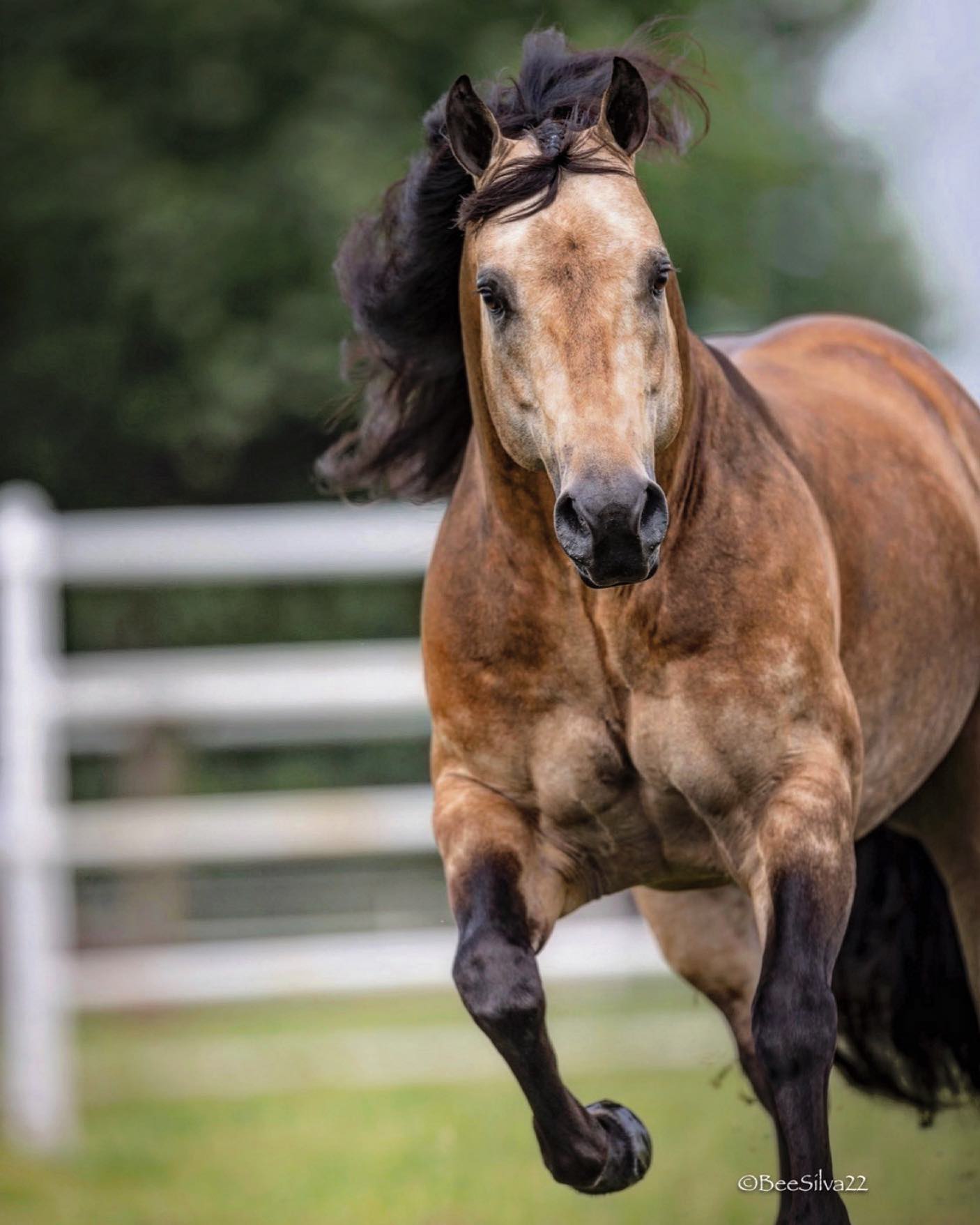 Jerseys Baby Driver Frozen Partners serving Europe with frozen semen