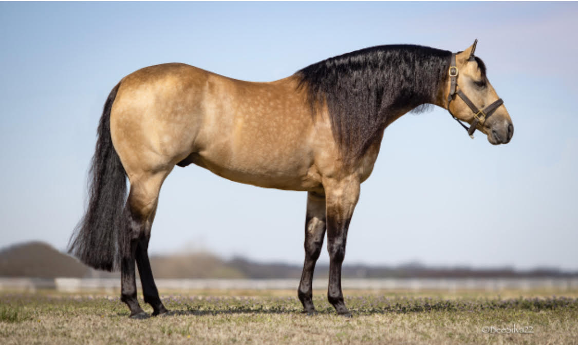 Jerseys Baby Driver Frozen Partners serving Europe with frozen semen