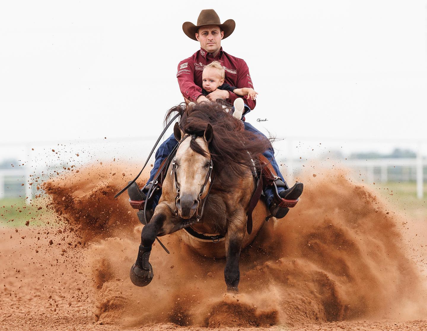 Jerseys Baby Driver Frozen Partners serving Europe with frozen semen