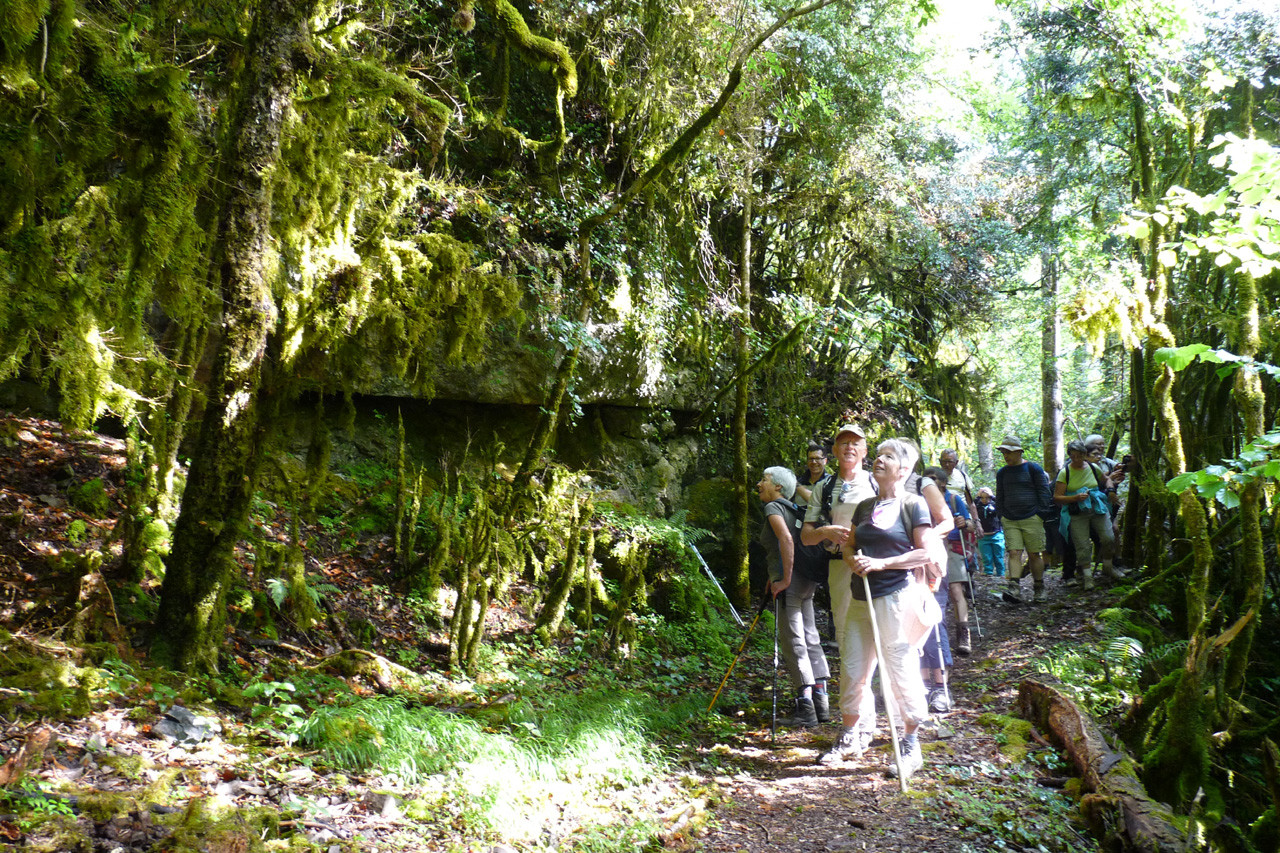 La petite Amazonie