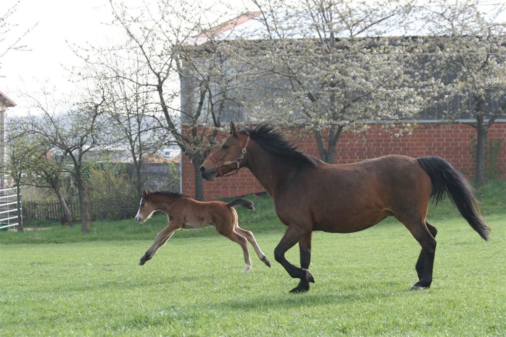 Susi und Kleine Liebe gesund und munter