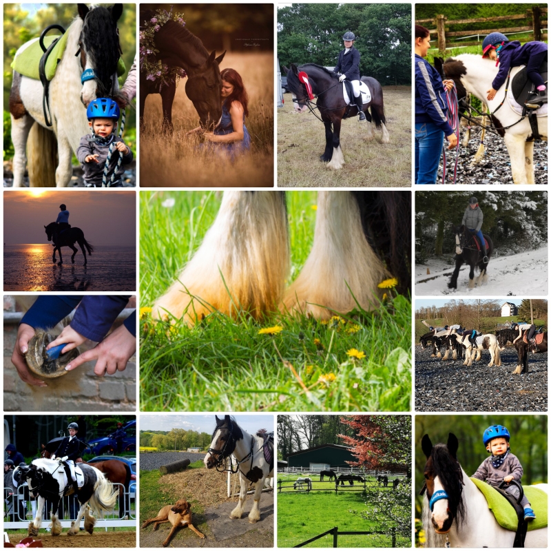 Reitschule Reitstall Wülfrath Mutter- Kind- Reiten Reitunterricht Longenunterricht