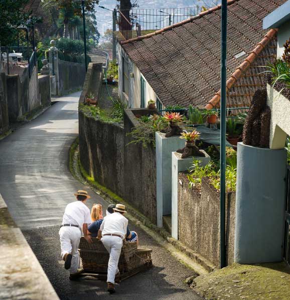 sledge-trip-Carros-Cestos-Madeira-best-things-to-do