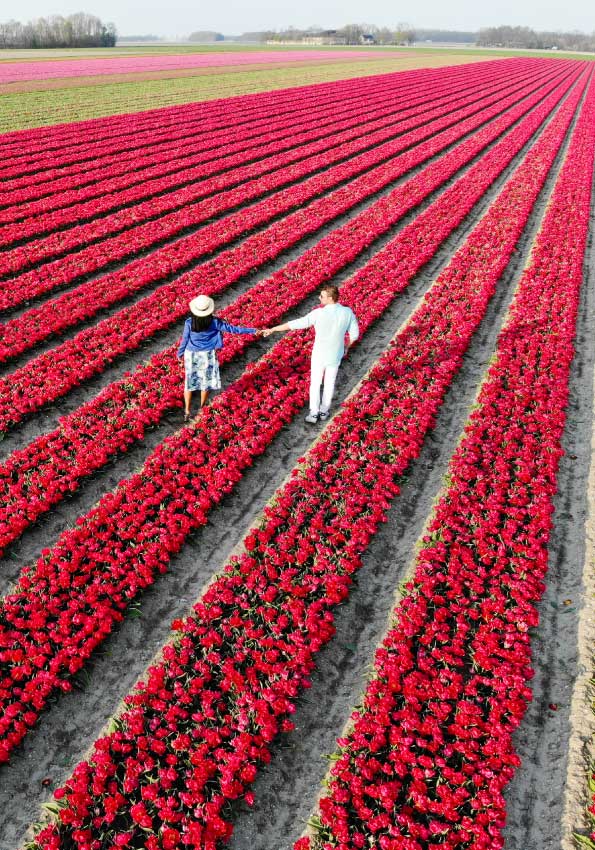 travel-netherlands-europe