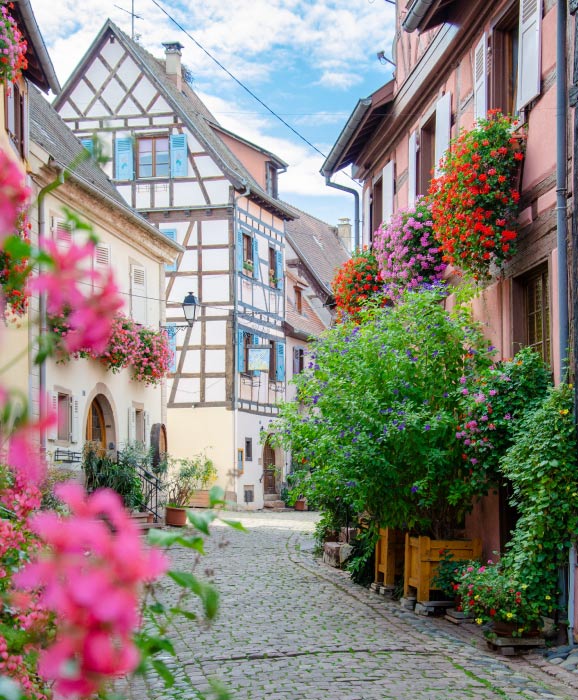 spring-activities-in-colmar