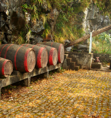 food-and-wine-tour-madeira