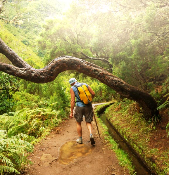 Paradise-Valley-Levada-Walk-top-things-to-do-madeira