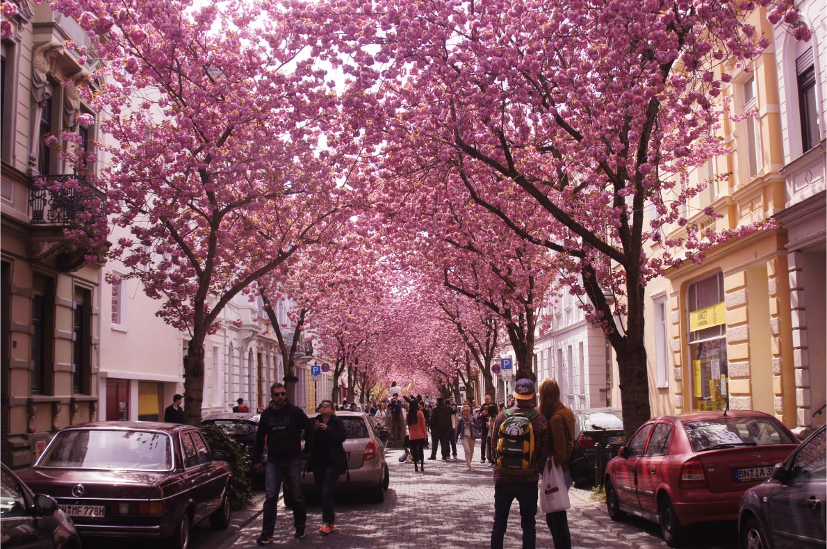 Best Places to visit in Germany - Bonn copyright S.Peace - European Best Destinations