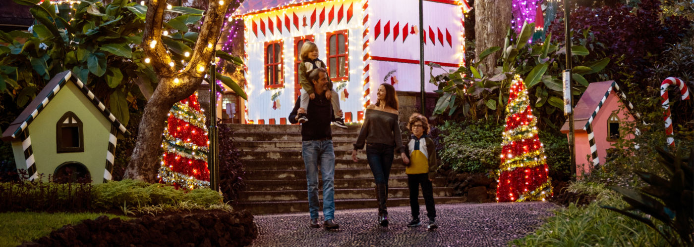 madeira-christmas-market