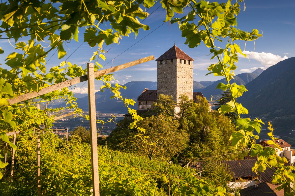 Best Wine Capitals in Europe - Bolzano